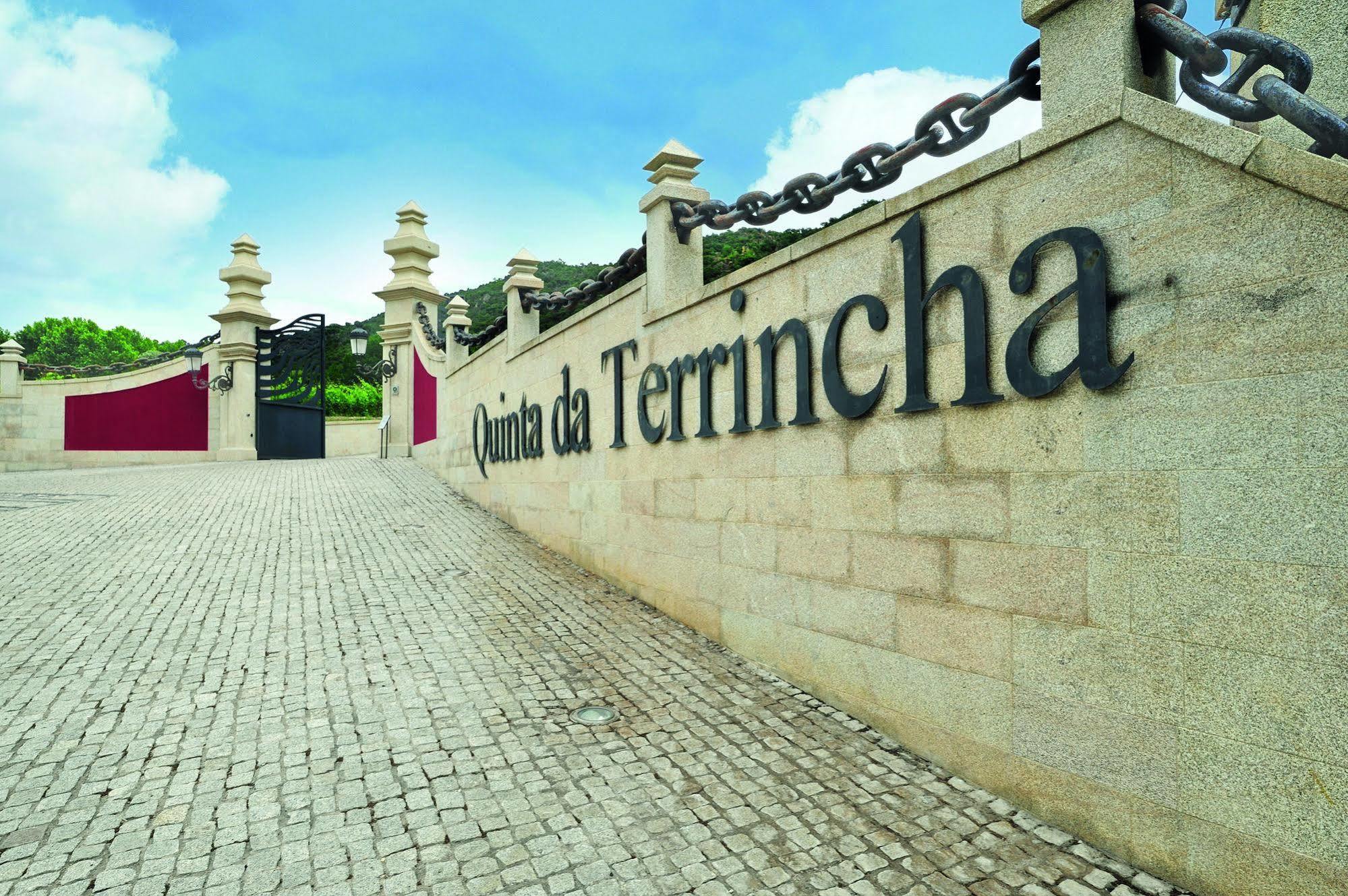 Quinta Da Terrincha Guest House Torre De Moncorvo Exterior photo